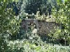 Blick nach Osten